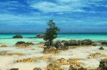 Pantai Tureloto: Surga Tersembunyi di Ujung Sumatera Utara