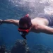 Mengungkap Pesona Bawah Laut Nias: Snorkeling dan Diving di Destinasi Tersembunyi Indonesia