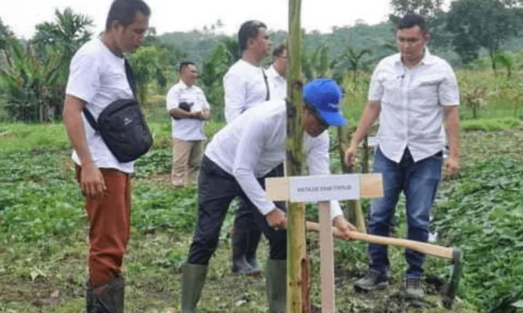 Edukasi Keuangan untuk Petani Pisang di Nias